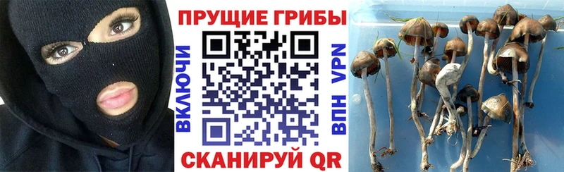 Псилоцибиновые грибы прущие грибы  Белоусово 